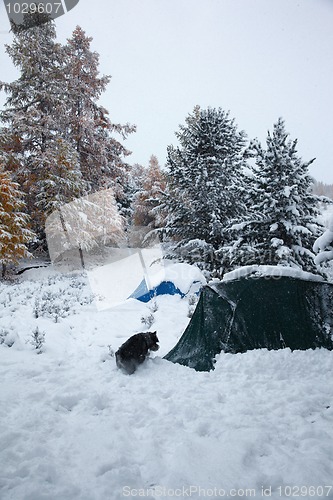 Image of Altai under snow