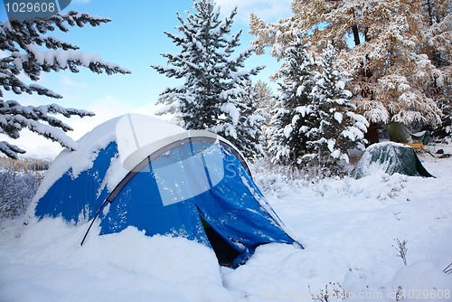 Image of Altai under snow