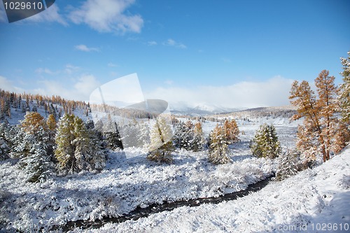 Image of Altai under snow