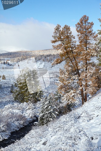 Image of Altai under snow