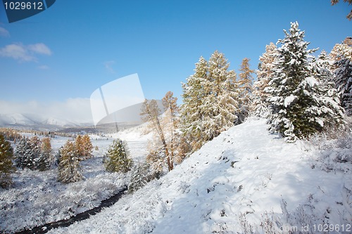 Image of Altai under snow