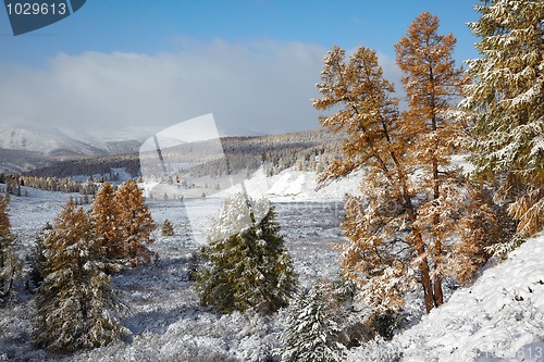 Image of Altai under snow