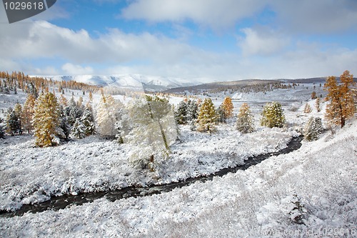 Image of Altai under snow