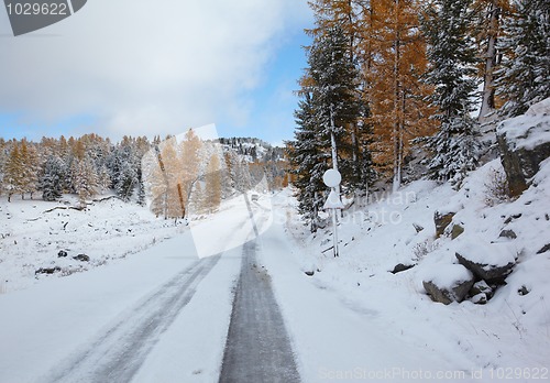 Image of Altai under snow