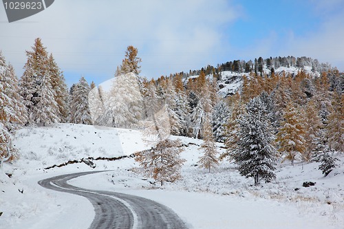 Image of Altai under snow