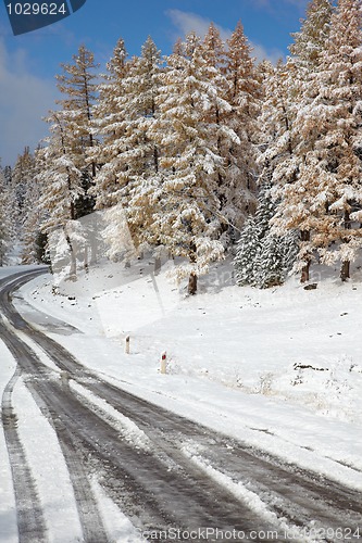 Image of Altai under snow