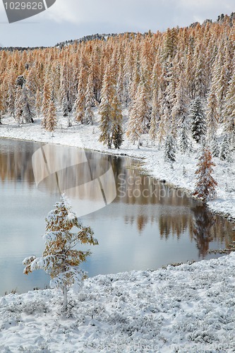 Image of Altai under snow