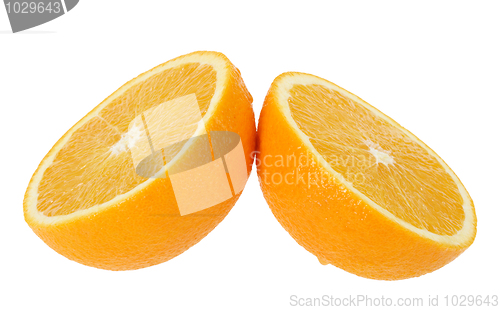 Image of Two cross section of orange