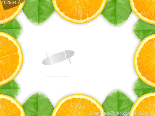 Image of Frame with orange fruit and green leaf