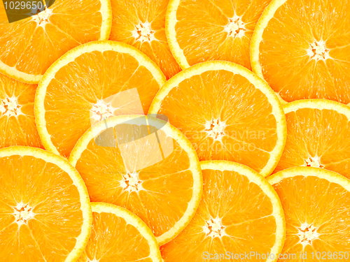 Image of Abstract background with citrus-fruit of orange slices