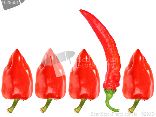 Image of Group of red fresh pepper