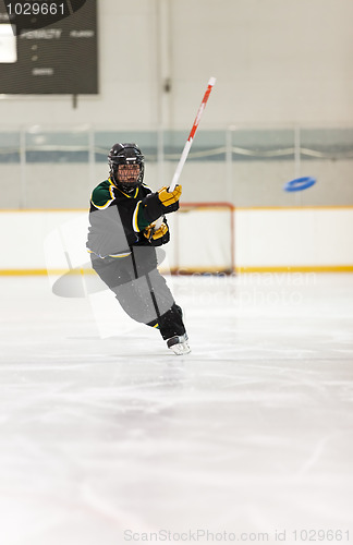 Image of Ringette Player
