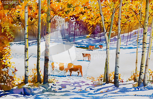 Image of Early Snow and Cattle