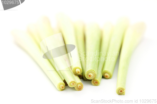 Image of lemon grass