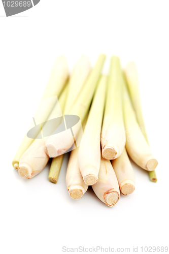 Image of lemon grass