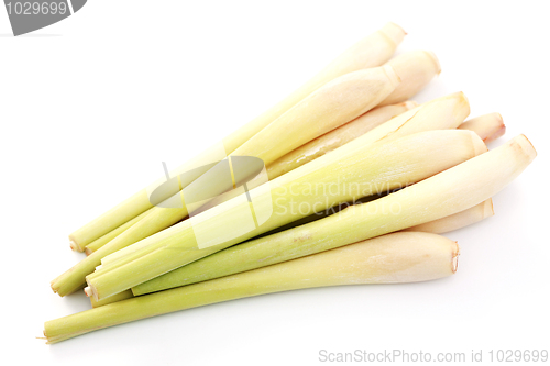 Image of lemon grass