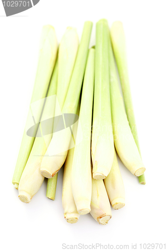 Image of lemon grass