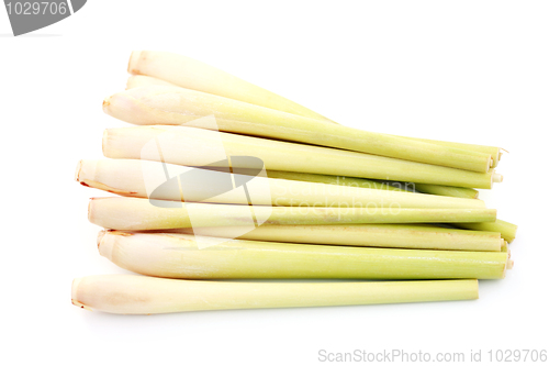 Image of lemon grass