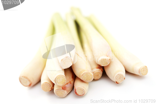 Image of lemon grass
