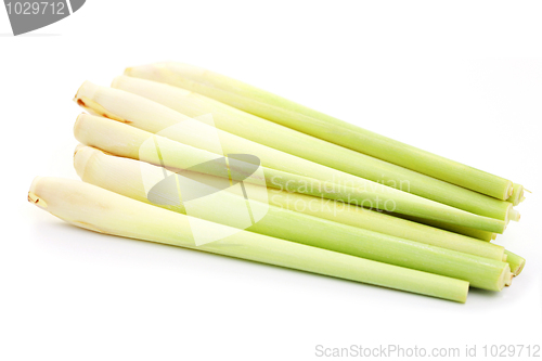 Image of lemon grass