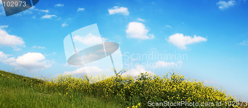 Image of Background Of Sky And Grass
