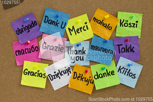 Image of Thank you in different languages