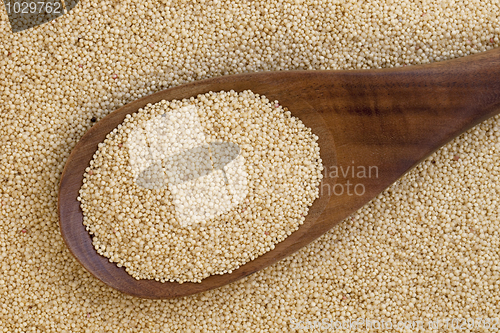 Image of amaranth grain and spoon