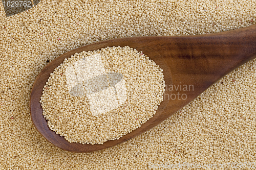 Image of amaranth grain and spoon