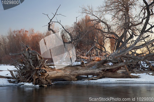 Image of winter river