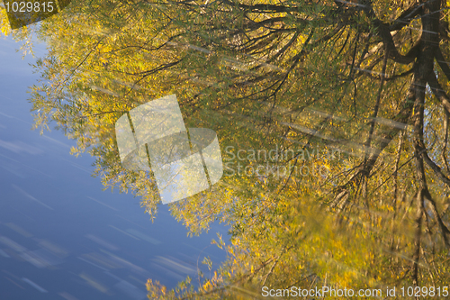 Image of gold and blue water reflection
