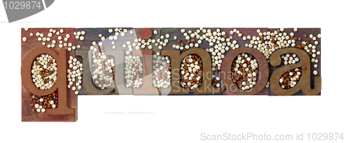 Image of quinoa word and grain
