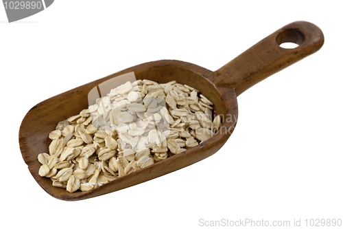 Image of scoop of rolled oats