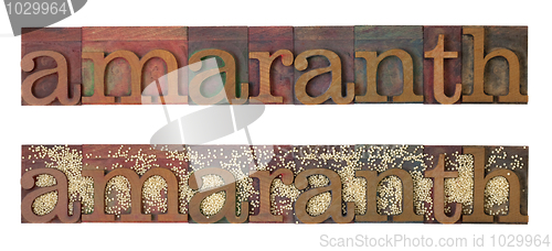 Image of amaranth grain