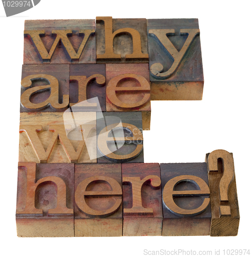 Image of why are we here question