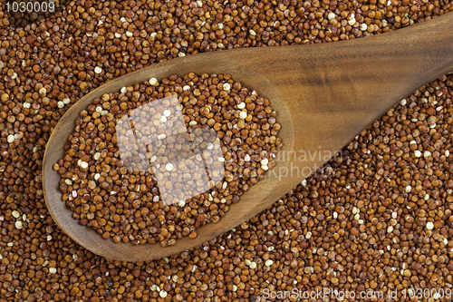 Image of red quinoa grain and spoon