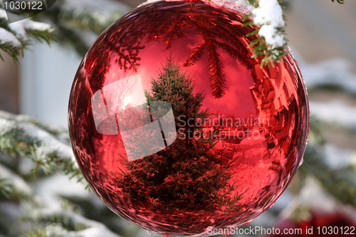 Image of Bauble on Christmas Tree with reflection
