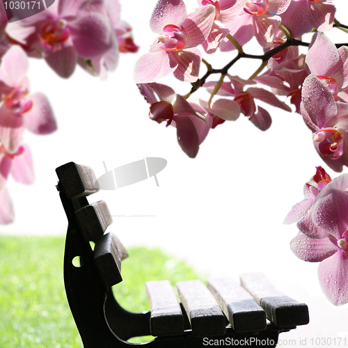 Image of Relaxing on the bench