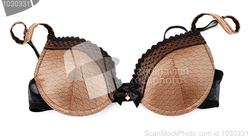 Image of Brown bra with golden briliance