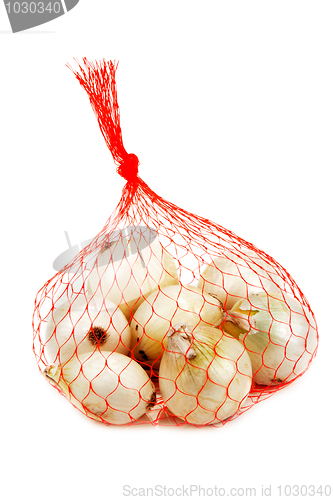 Image of Light onion in packing from red net