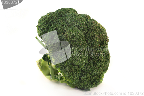 Image of Broccoli