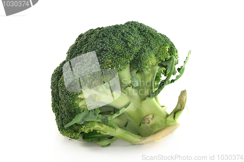 Image of Broccoli