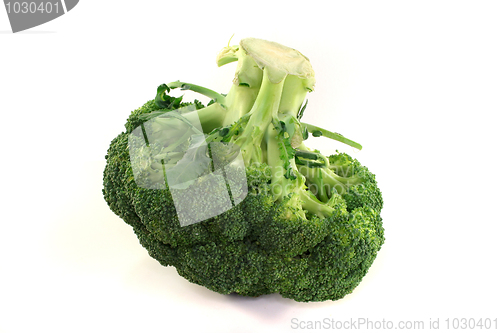 Image of Broccoli