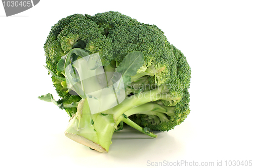 Image of Broccoli