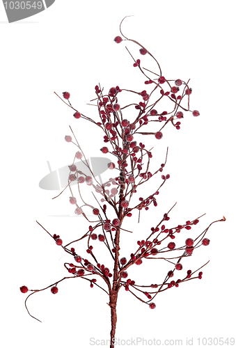 Image of Christmas arrangement
