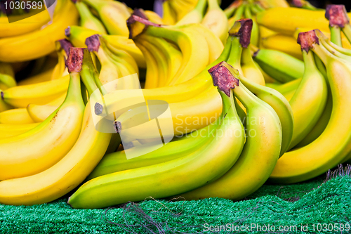 Image of Bananas