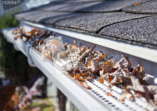 Image of Rain gutter guards.