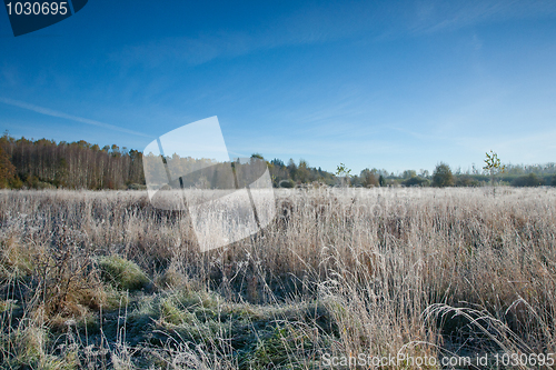 Image of Frosted meadow landscape with blue sky