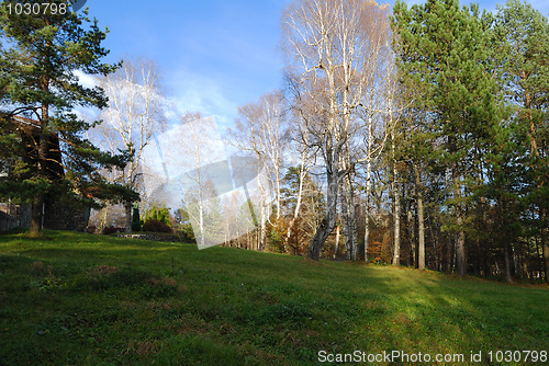 Image of Autumn in countryside