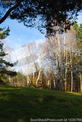 Image of Autumn in countryside