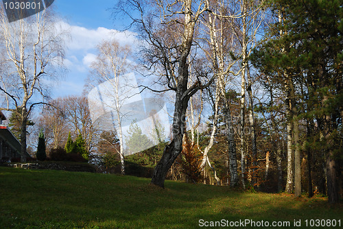 Image of Autumn in countryside